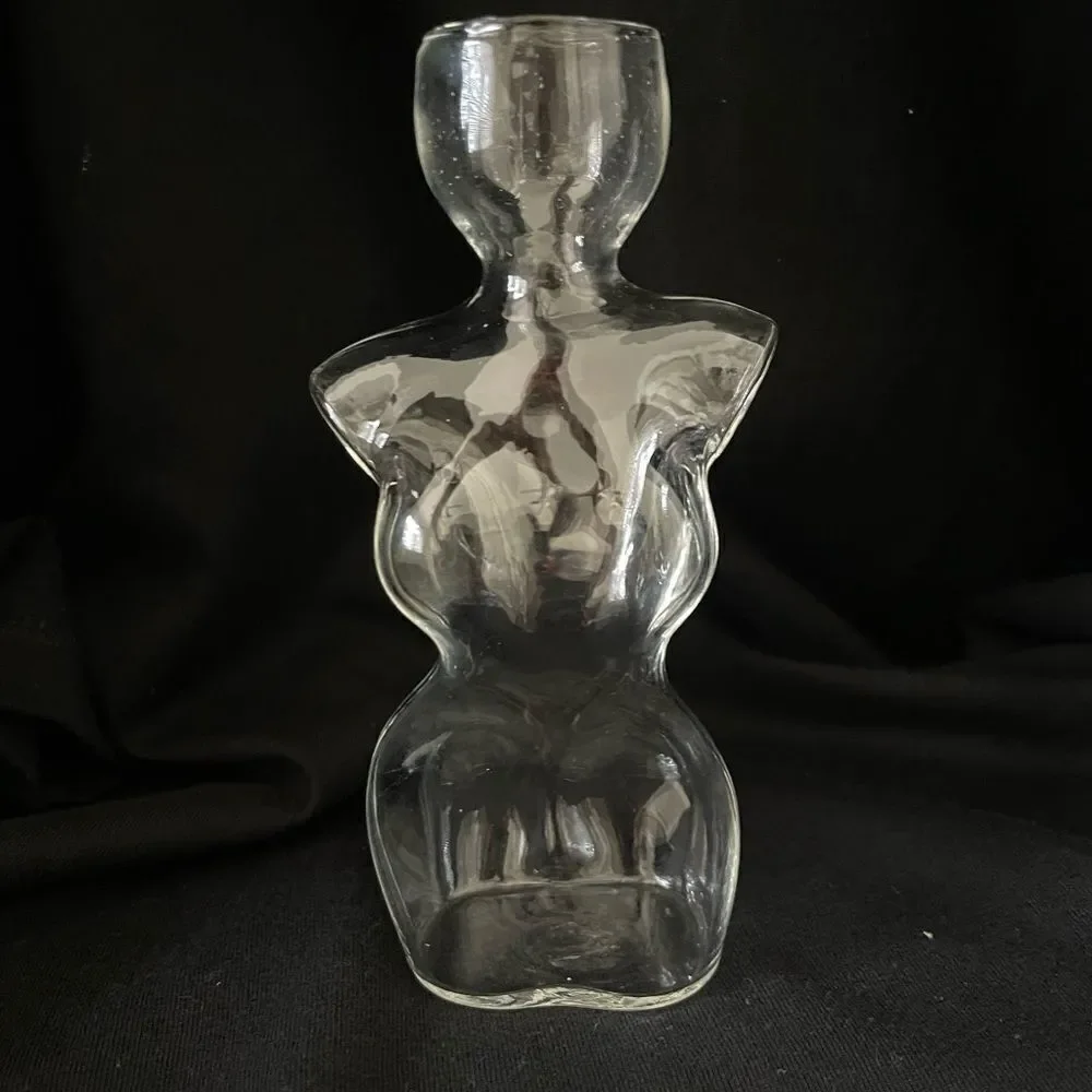 Elegant Glass Vase with Green Plant